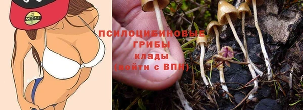 соль ск Волосово