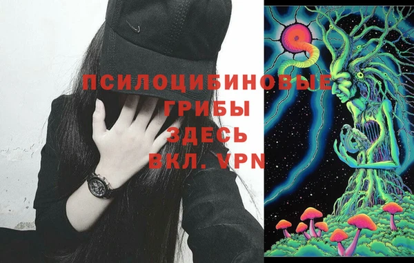 соль ск Волосово